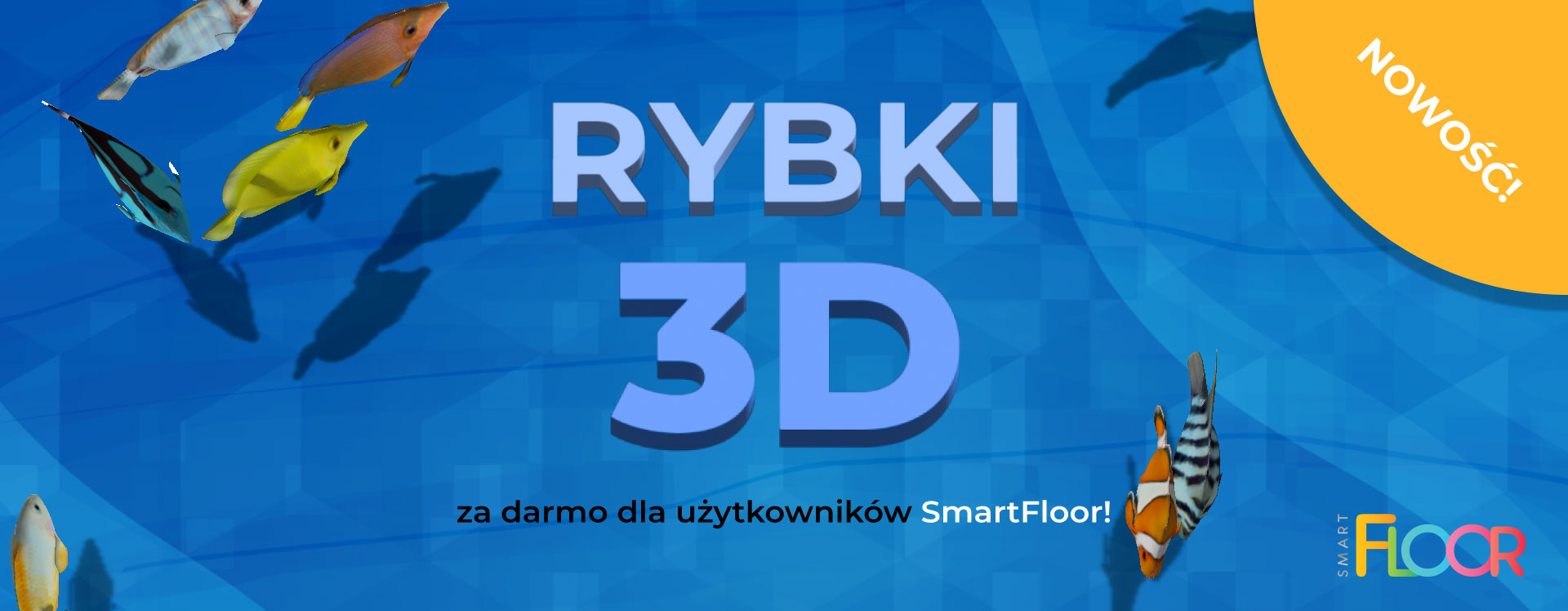 Nowość – pierwsza aplikacja 3D!